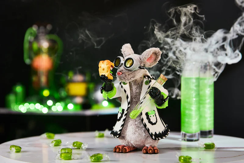 Katherine's Collection: Einstein the Lab Rat