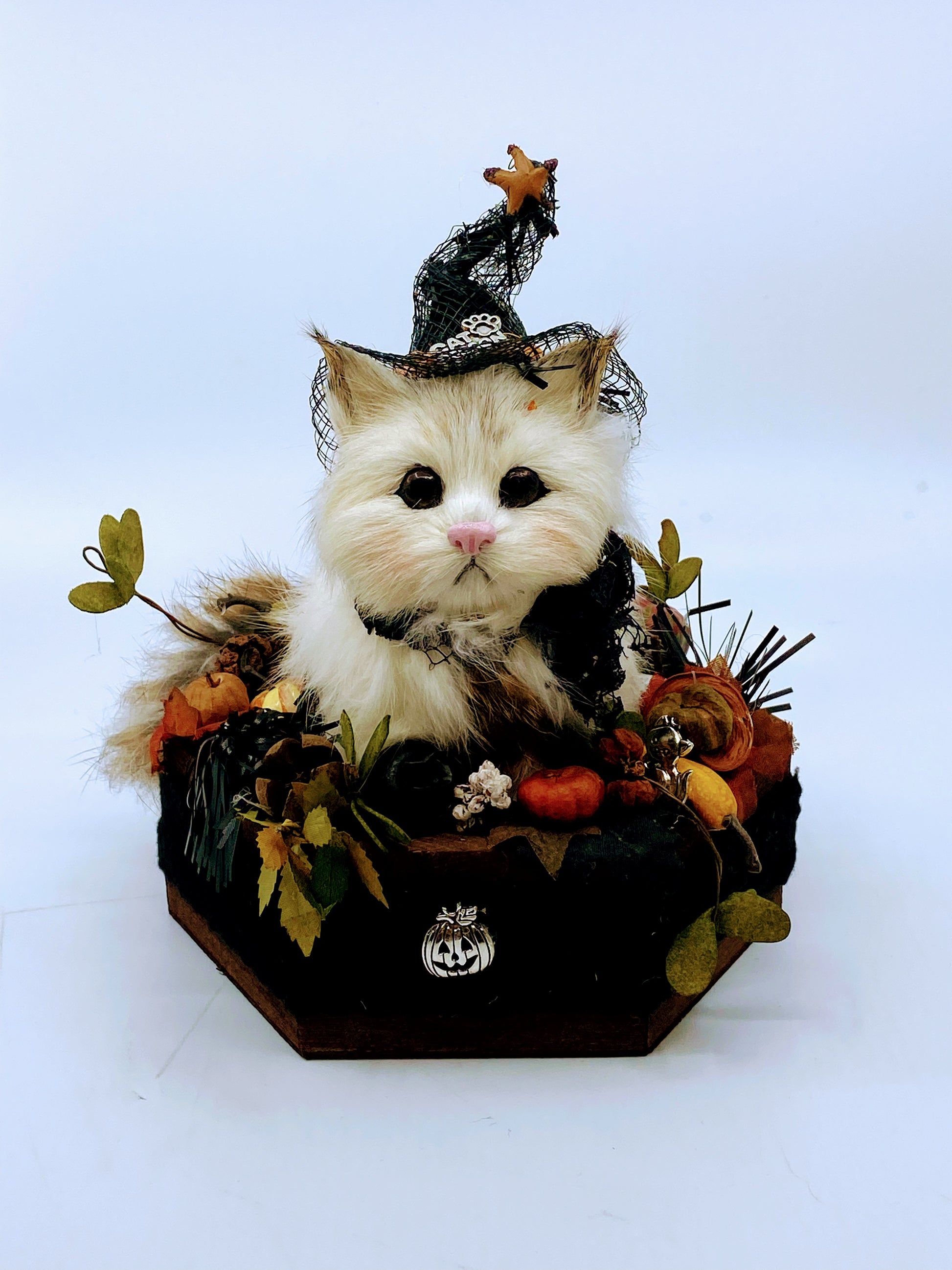 Aunt Liz's Attic: Halloween Cat