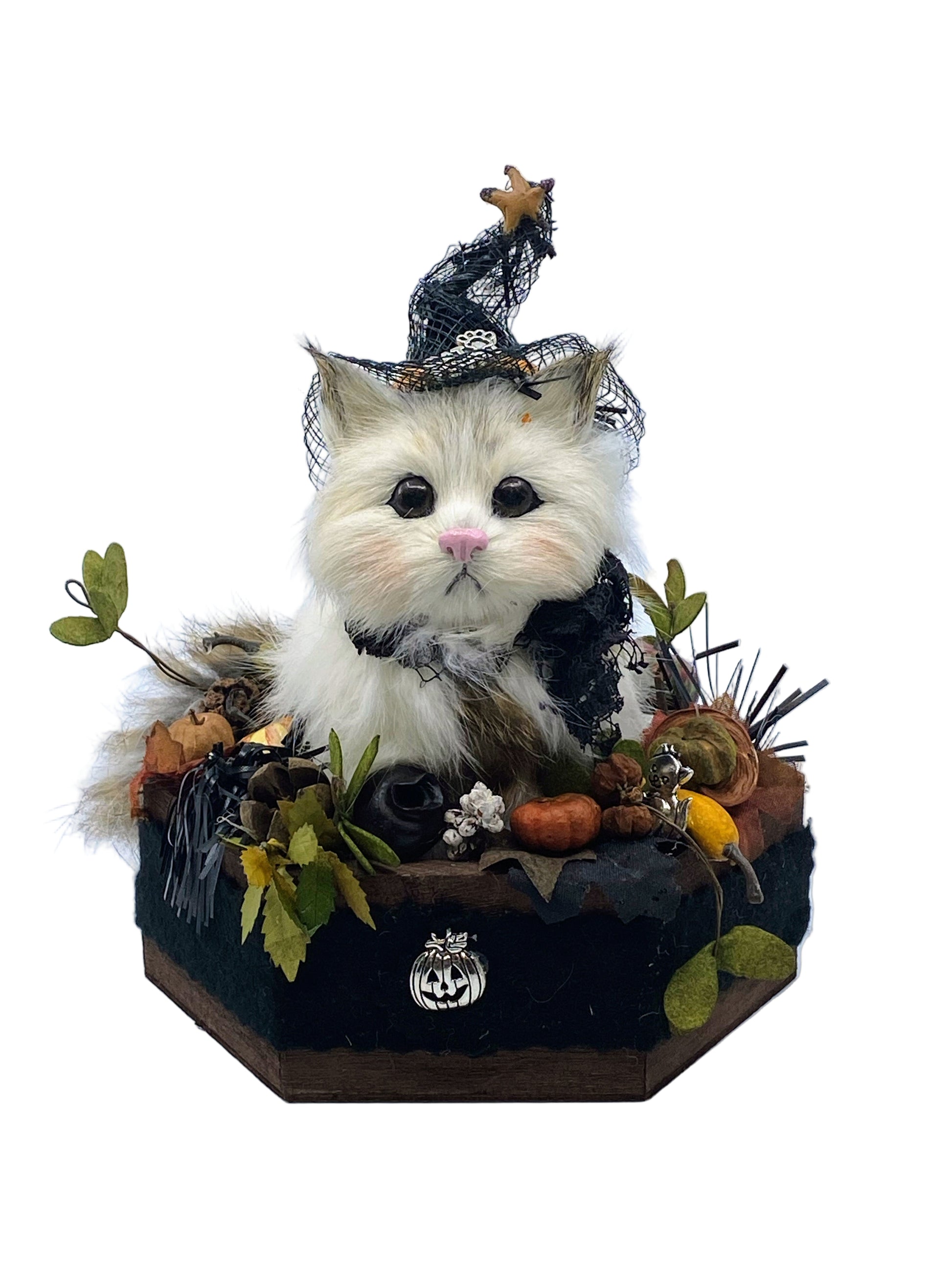 Aunt Liz's Attic: Halloween Cat