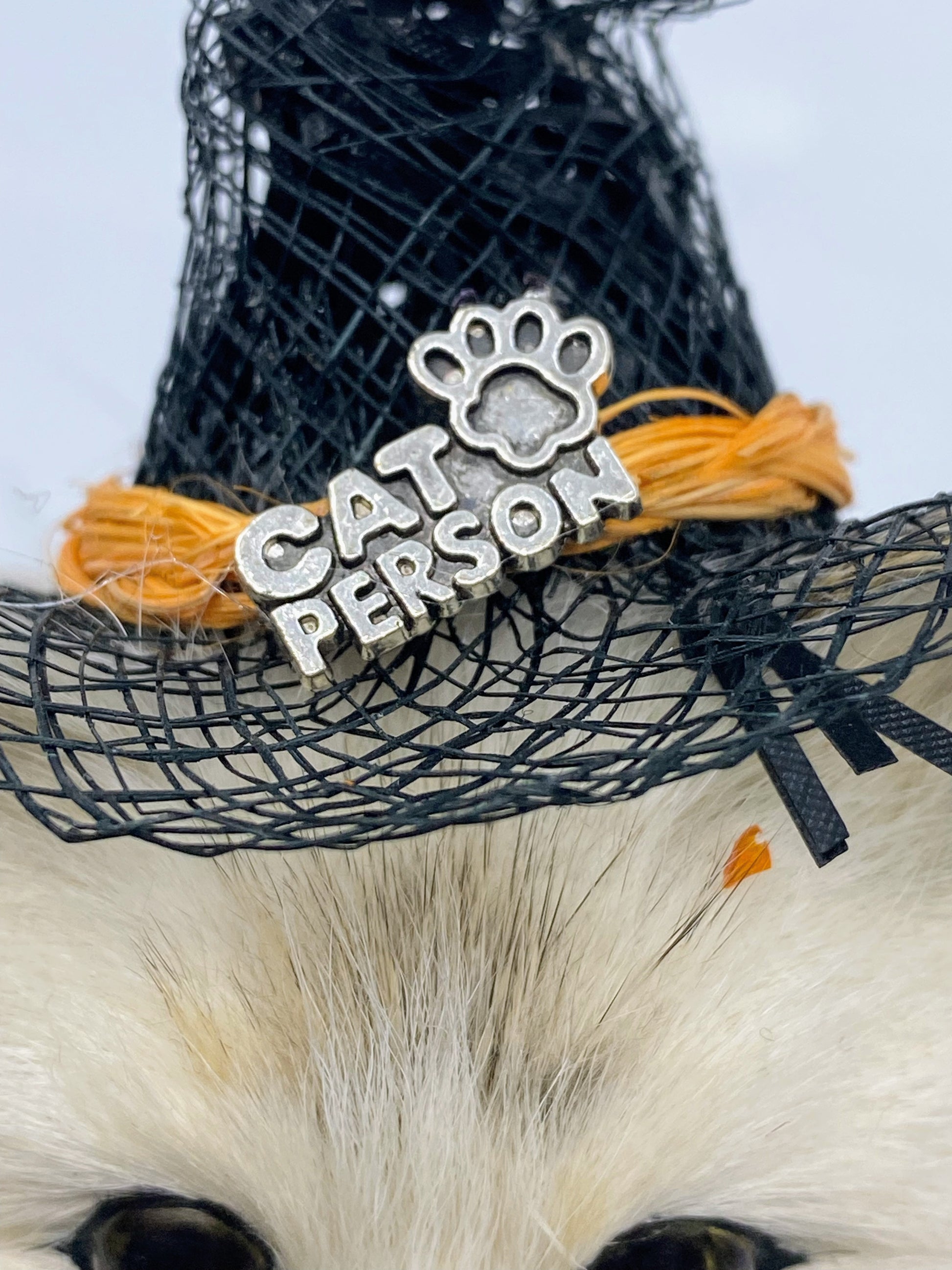 Aunt Liz's Attic: Halloween Cat