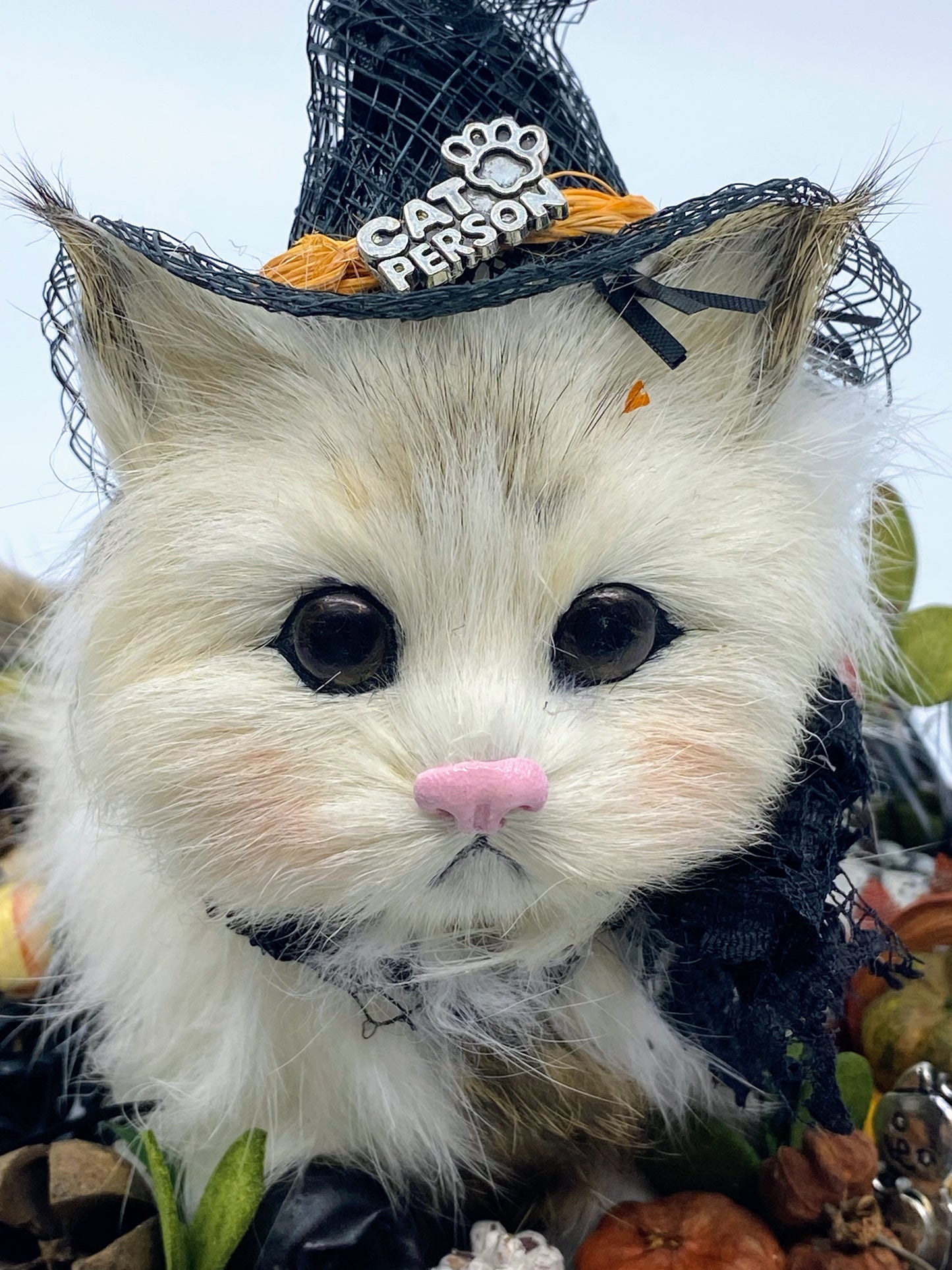 Aunt Liz's Attic: Halloween Cat