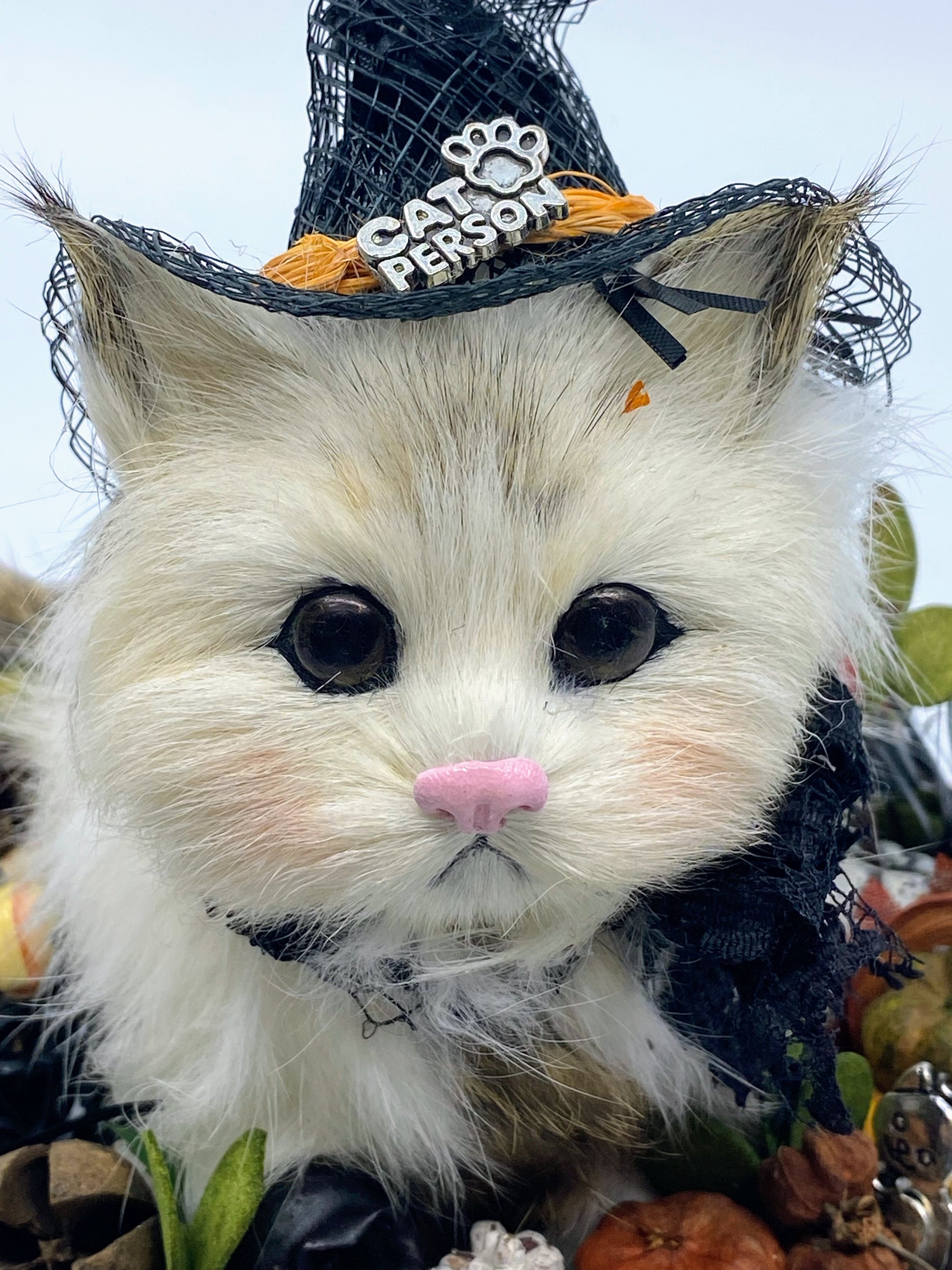 Aunt Liz's Attic: Halloween Cat