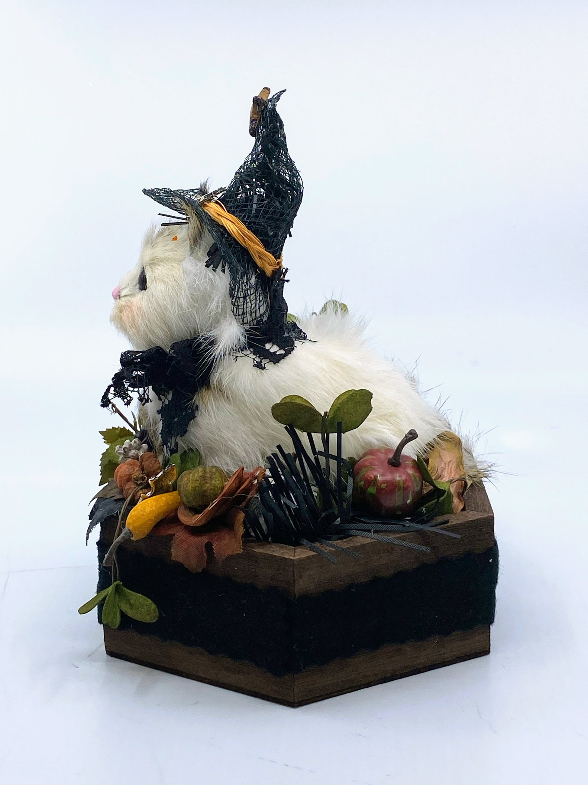 Aunt Liz's Attic: Halloween Cat