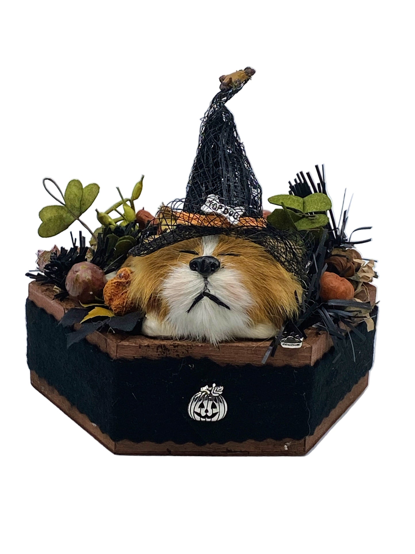 Aunt Liz's Attic: Halloween Dog
