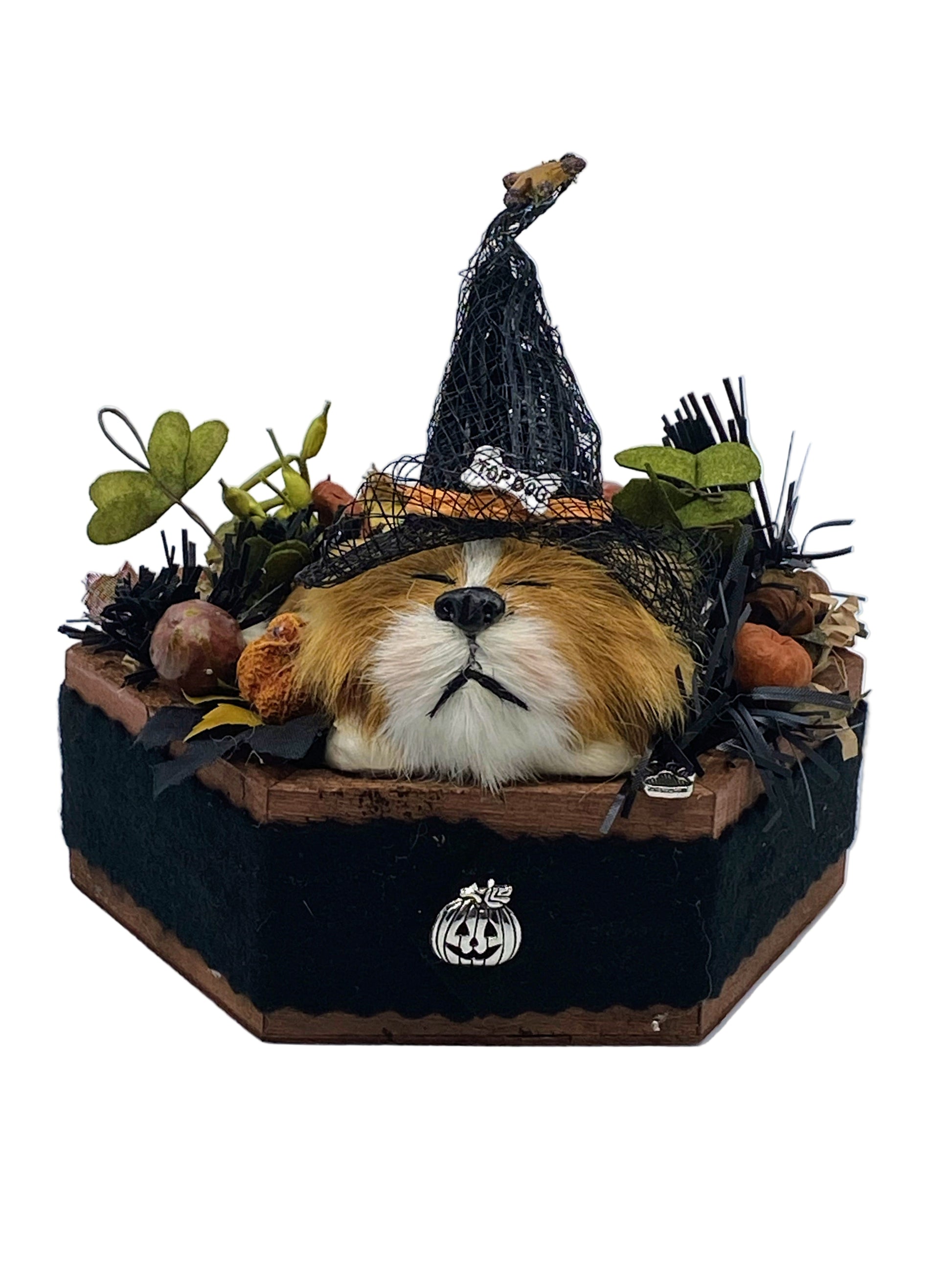 Aunt Liz's Attic: Halloween Dog