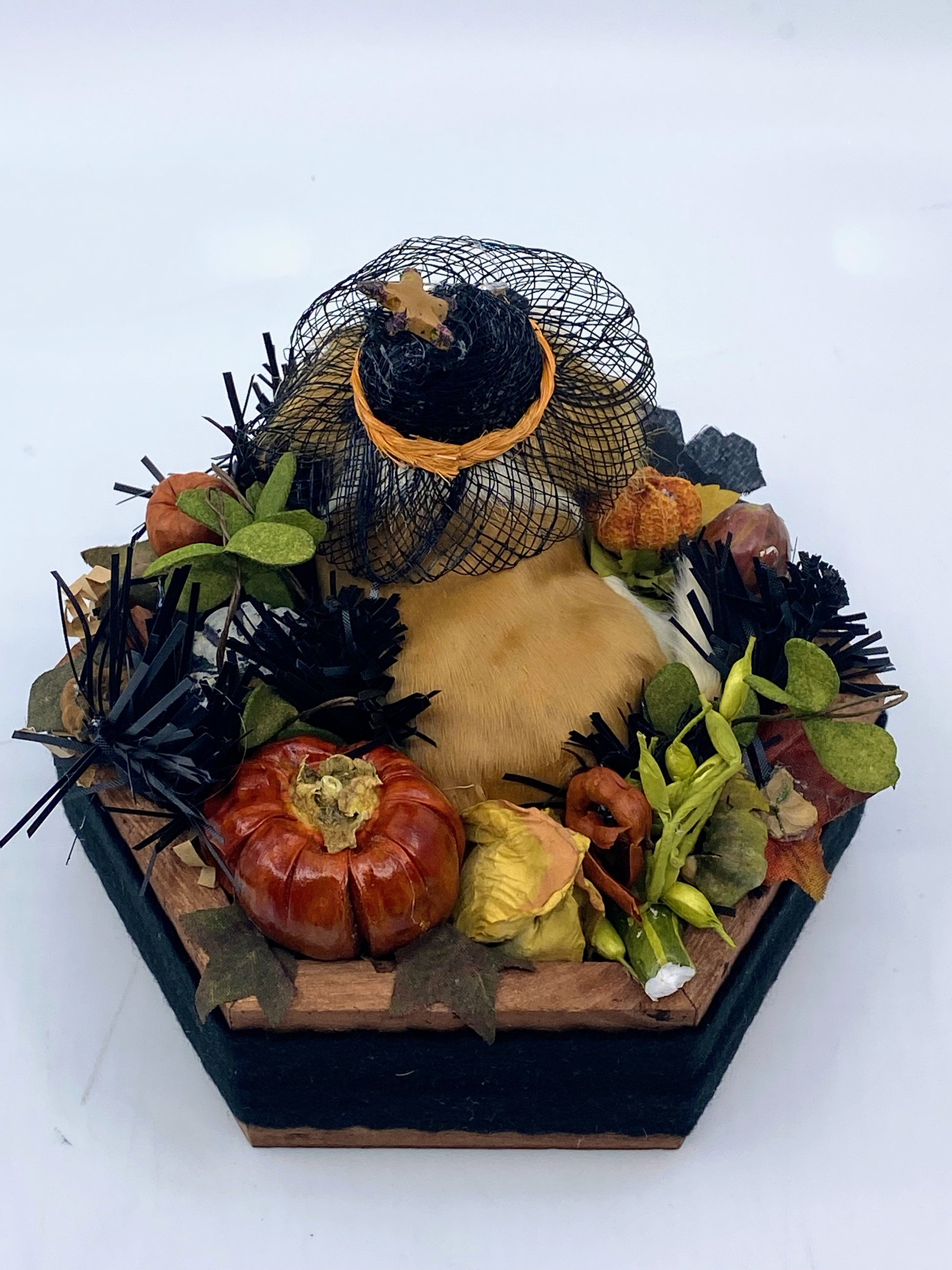 Aunt Liz's Attic: Halloween Dog