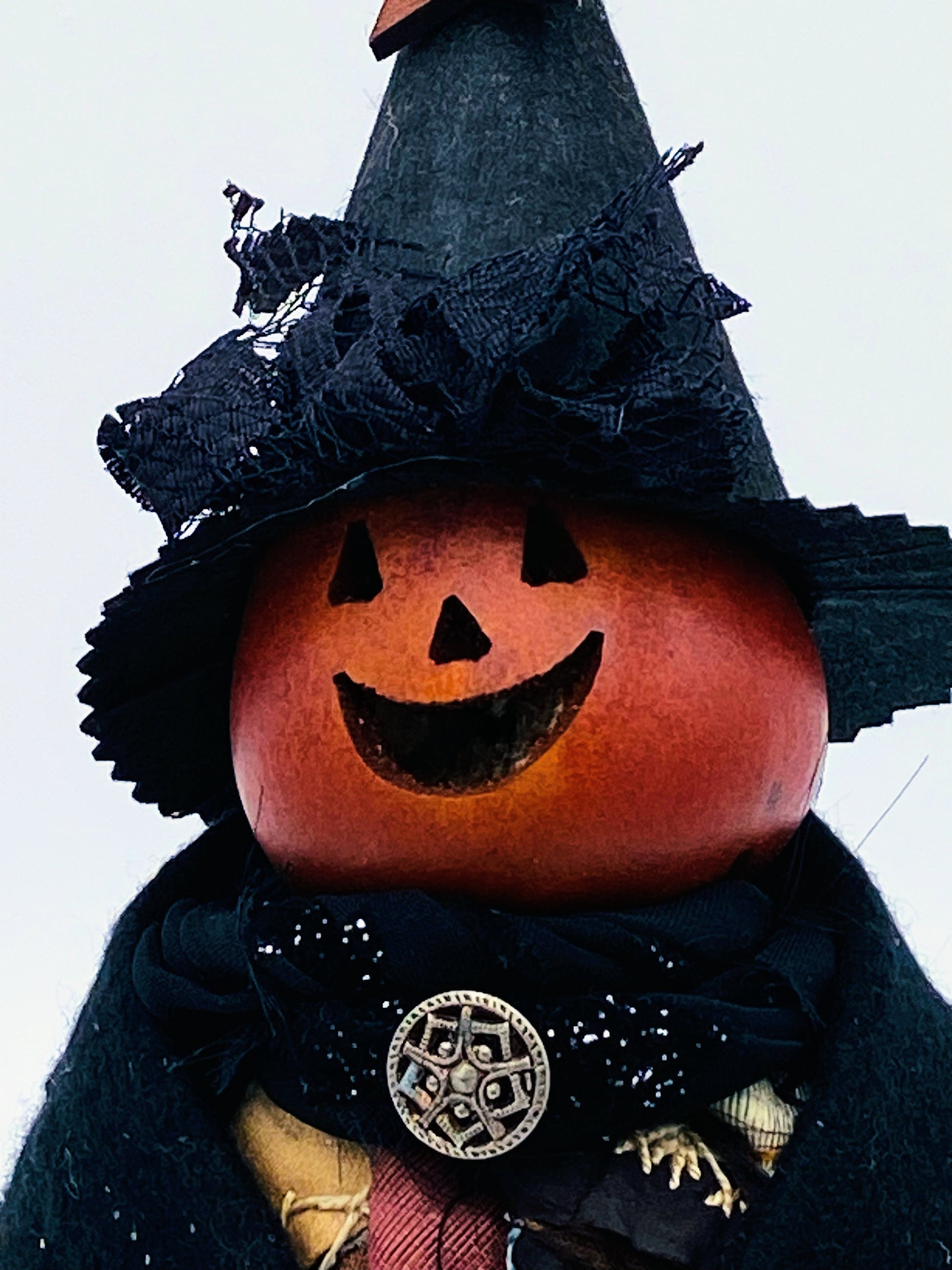 Aunt Liz's Attic: Priscilla Pumpkin